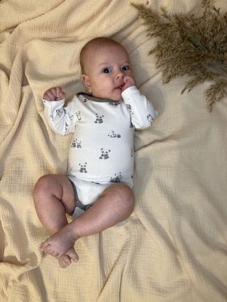 Body " Little Panda "