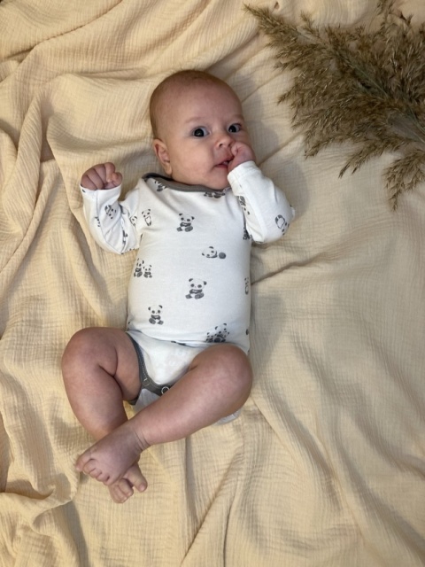 Body " Little Panda "