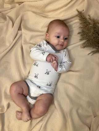 Body " Little Panda "